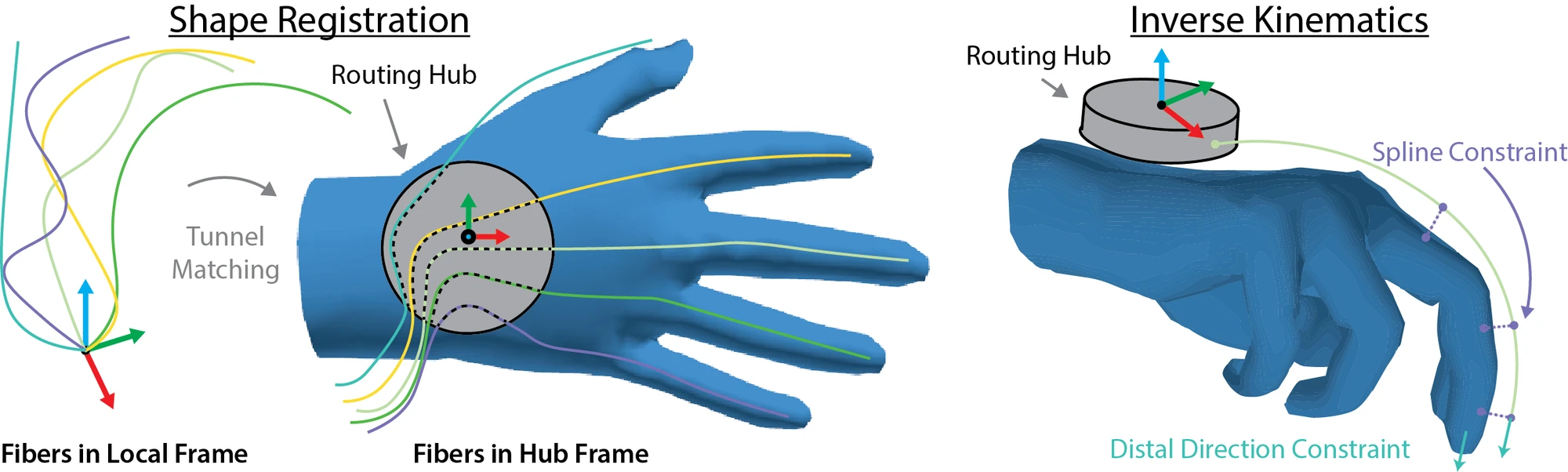 Shape registration of fibers from local frame to routing hub frame, followed by inverse kinematics with spline and distal direction constraints